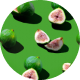 figs